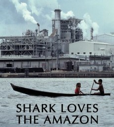 shark_loves_the_amazon